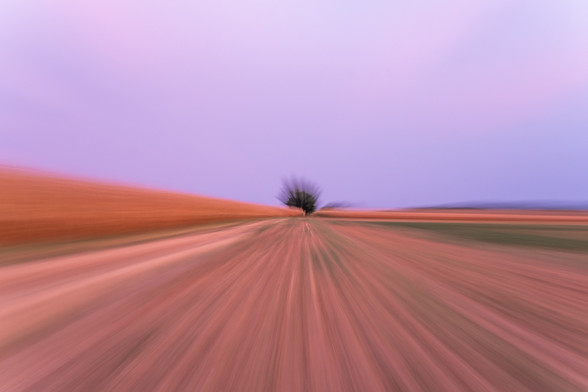 Ackergegend mit Baum mittig. Linien kaufen auf den Baum zu mir leichter Sogwirkung.
Während der Aufnahme wurde der Zoom gedreht, um diesen Effekt hervorzurufen.