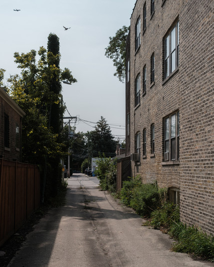 Looking down an alleyway on an overcast day. Overgrown vegetation is protruding from the space between the alley and the building on the right. Ivy consumes a telephone pole on the left.