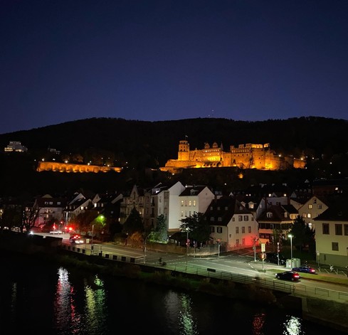 Heidelberg Castle #heidelberg #castle #heidelbergcastle #badenwürttemberg #theländ #europa #germany #deutschland #travel #reise