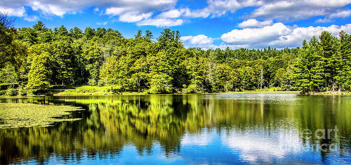 Stunning panorama of Bass Lake in late Summer, early Fall in the Blue Ridge Mountains of western North Carolina.  Beautiful deep blue sky with white puffy clouds and golden trees reflecting in the still water of the lake.  From the Fine Art Gallery of Shelia Hunt at Shelia-Hunt.pixels.com
