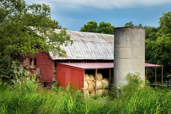  "Red Barn Under Stormy Skies" captures a dramatic scene in Northeast Tennessee, where a vivid red barn stands resilient beneath the brooding clouds of an impending storm. The barn, a beacon of rustic charm, contrasts sharply with the darkening skies overhead. Surrounding it, the fields tell their own story: the hay has been neatly gathered and stored within the barn’s sheltering walls, ready for the changing seasons. The foreground is a mosaic of soft green grasses that blend the end of summer with the first hints of autumn. From the Fine Art Gallery of Shelia Hunt at Shelia-Hunt.pixels.com