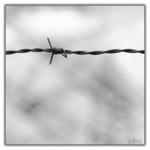 Black and white close-up of a barbed wire with exactly one barb offset to the left. The wire runs horizontally across the image above the middle. In the background you can see very blurred dark structures against a bright sky.