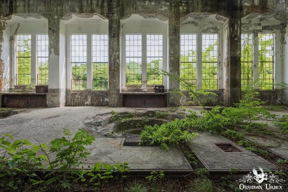 abandoned power plant, concrete with large industrial windows, there are plants all over the floor