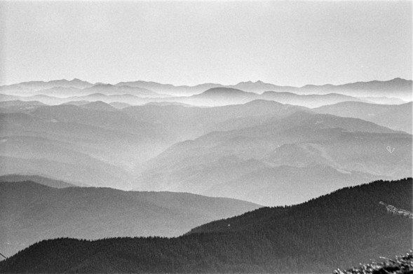 This is a black-and-white photograph of the Carpathian Mountains in Ukraine. The image captures a serene and layered landscape, with numerous mountain ridges fading into the distance, each progressively lighter due to the atmospheric haze. The foreground consists of a densely forested ridge, while the background mountains create a sense of depth and vastness. The mist between the mountain ranges adds a soft, ethereal quality to the scene, giving the impression of an endless expanse of hills and peaks under a calm sky. The grainy texture of the photo gives it a vintage or film-like aesthetic.