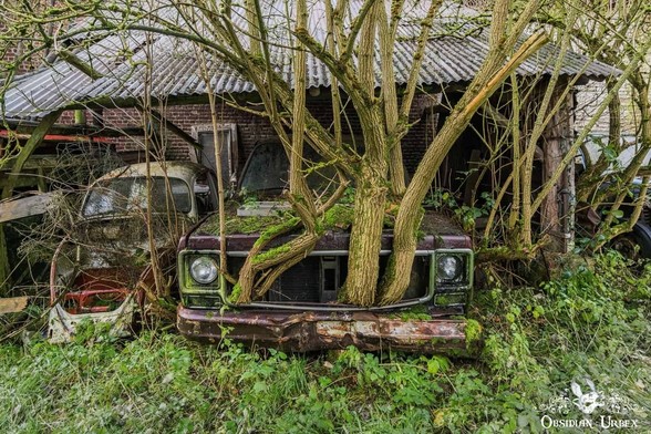 old car with free growing out of it
