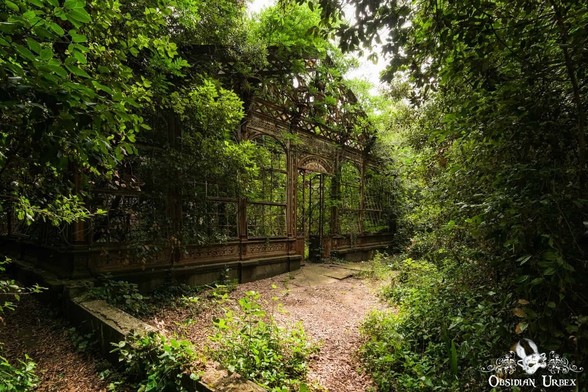 overgrown metal greenhouse frame in forest
