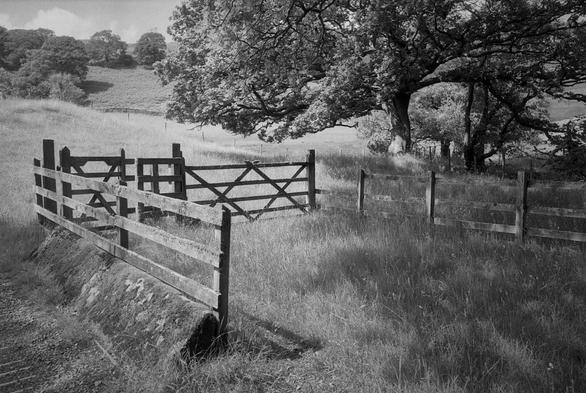 Black and white photo showing a complex farm gateway into a gently sloping field with long summer grass, with trees to the top right. The gateway has a pull-off from the road, flanked with rustic wooden fences, a classic five-barred gate with strong diagonals, and what looks like a kissing gate for walkers. At the front left is part of what looks like a cattle grid, but filled with gravel. The scene is... bucolic!