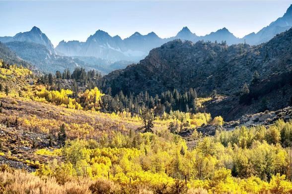“Peaks and Valley.” A scenic mountainous landscape featuring vibrant autumn foliage, with layers of trees in shades of yellow and green, and rugged mountains in the background under a clear sky.