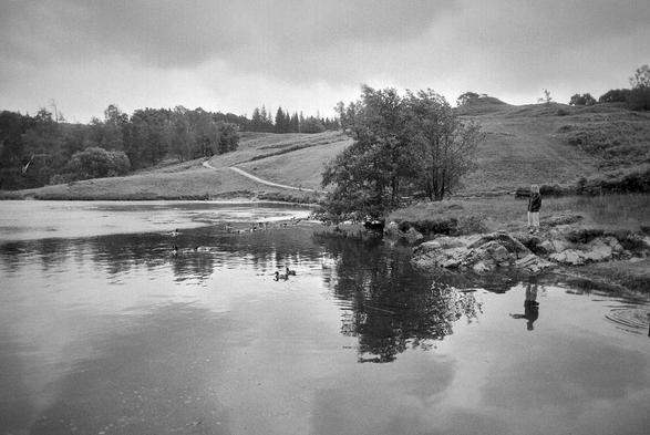 Looking across a small lake, a mix of still and ruffled water. On a small rocky outcrop to the right a woman stands, also reflected in the water, her arm outstretched to the left. Behind a tree near the centre, a path reaches diagonally upwards towards some further trees. In the water in front of the woman are several ducks. It is peaceful. Back and white photo.