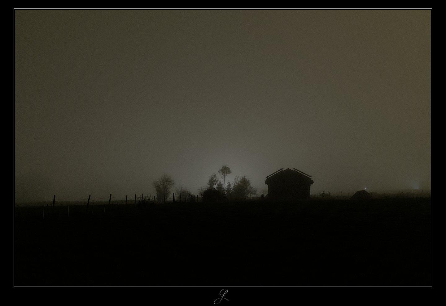 Night Fog