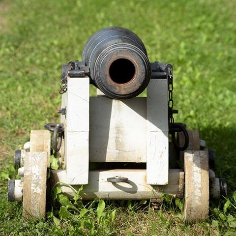 The opening of the cannon is just above the middle of the photo.
You are looking at the front of the cannon.
The cannon sits in the grass.