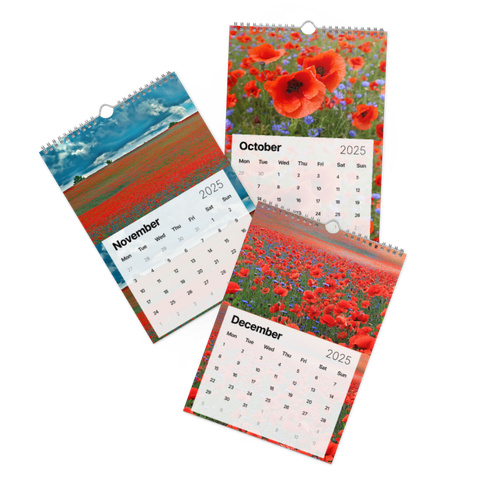 Three examples of the inside of the calendar with the months of October, November and December - the monthly calendar itself is on the bottom half, the top half has each a picture with poppies on a field of red poppies and blue cornflowers that goes all the way to the horizon.