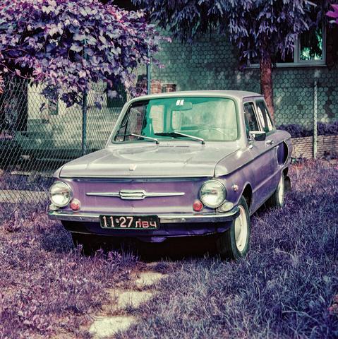 This image shows a vintage ZAZ 968, also known as "Zaporozhets," a Soviet-era compact car, parked on a grassy lawn. The car is painted in a light, almost lavender color and has a classic, rounded design typical of cars from the 1960s and 1970s. It features circular headlights and a small chrome grille on the front, with a distinctive license plate in Cyrillic script at the bottom. The photo has a retro, color-tinted look, giving the foliage a purplish hue and adding a nostalgic atmosphere to the scene. The car is parked near a chain-link fence with a brick building partially visible in the background.