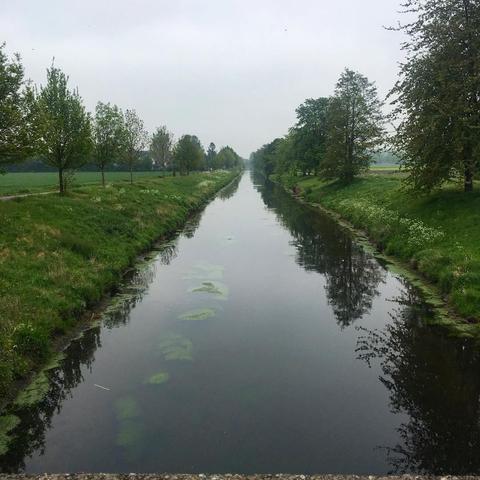 Die Niers. #niederrhein #niers #nrw #viersen #mönchengladbach #germany #deutschland