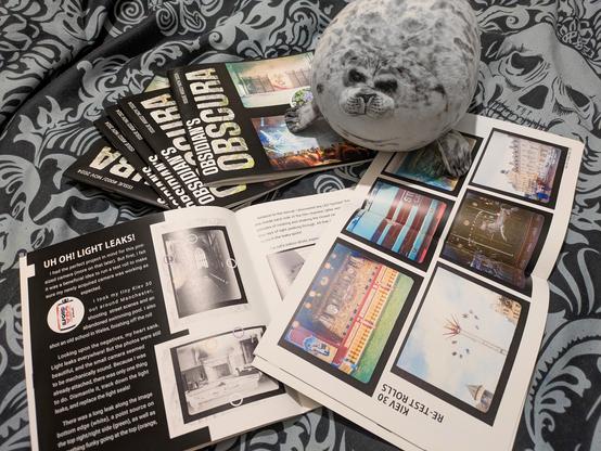 photo of a seal toy, with a pile of magazines on a bed