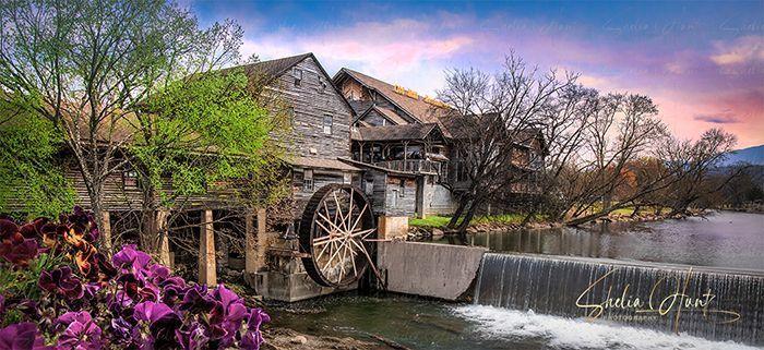 Image of the Old Mill at Pigeon Forge at sunset in the Great Smoky Mountains near Gatlinburg, Tennessee. Mill is shown with yellow and pink flowers in the foreground, with the mill race and mill dam. The mill is set against a stunning pink sunset sky. This artwork is from the Fine Art Gallery of Shelia Hunt.