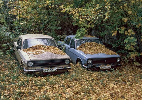 The image depicts two abandoned cars in a natural setting surrounded by dense trees and vegetation. The cars are covered with a thick layer of fallen autumn leaves, blending them into the environment. The surrounding area is blanketed with leaves, indicating the season is likely fall. The vehicles are old and show signs of disrepair, with rust and weathered surfaces. The scene exudes a tranquil and somewhat nostalgic atmosphere, as nature appears to reclaim the space.
