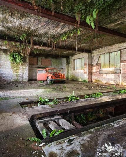 photo of red beetle in an abandoned garage