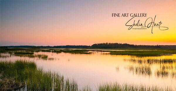 Sunset over the Florida Gulf Coast marshes during golden hour with pink and blue skies reflected in calm waters, silhouettes of marsh grasses and wetlands, enhanced with a textured artistic overlay. From the Fine Art Gallery of Shelia Hunt at Shelia-hunt.pixels.com