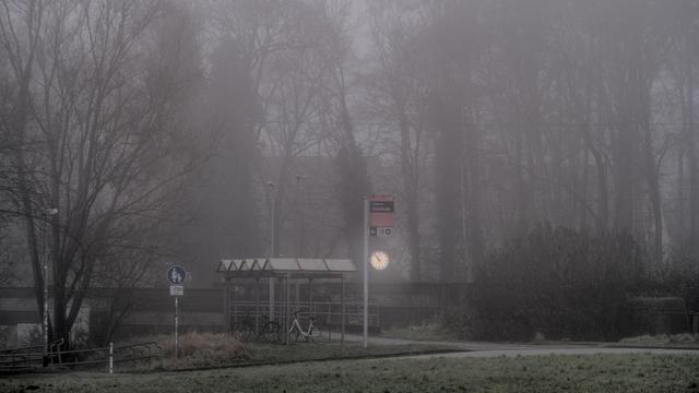 Foto im Nebel: eine Wiese, im Hintergrund sind Bäume, vor den Bäumen ist die Bahnstation "Stralsund Grünhufe" mit einer gelbweiß leuchtenden Bahnhofsuhr.