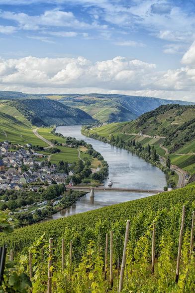 Beautiful Mosel valley with vineyards in Germany