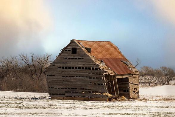 A dilapidated barn stands alone in a snowy field, with its weathered wooden planks and rusted metal roof leaning precariously. The surrounding landscape is barren, with bare trees visible in the distance under a soft, cloudy sky. Photography by Debra Martz