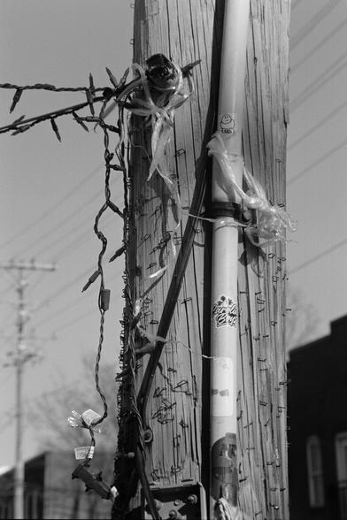 A light pole filled with staples from last flyers and with Christmas lights hanging from it 