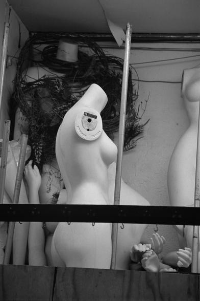 An armless mannequin torso, up on a shelf.  Surrounded by piles of arms it cannot use.