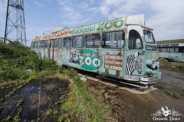 photo of old tram, with zoo theme paint job 