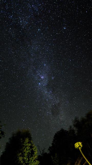 Part of the Milky Way, with the Southern Cross towards the bottom above the trees,.