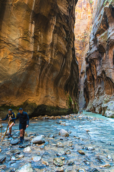 The Narrows Zion National Park

The Narrows is one of Zion National Park’s most famous hikes, taking you through a stunning slot canyon carved by the Virgin River. Towering sandstone walls rise up to 1,000 feet, while the canyon narrows to just 20-30 feet across in places.

Unlike a traditional trail, hiking The Narrows means wading—and sometimes swimming—through the river. You can hike from the bottom up (no permit required) for a shorter experience or tackle the top-down (16 miles, permit required) for a full adventure.

Expect cold water, slippery rocks, and breathtaking scenery. The best time to hike is late spring to early fall, avoiding flash flood risks. With the right gear and preparation, The Narrows is an unforgettable adventure in one of the most beautiful canyons in the world.

Image:
https://fineartamerica.com/featured/amazing-beauty-hike-the-narrows-zion-national-park-wayne-moran.html

Read more:
https://waynemoranphotography.com/blog/10-most-beautiful-places-to-visit-in-utah/

#Utah #Zion #Narrows #Hike #nature #wild #landscape #travel #Photography

#AYearForArt #buyintoArt #fineart #art
