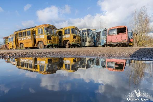 old buses, reflection in puddle