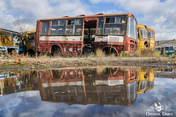 old red bus and reflection in puddle