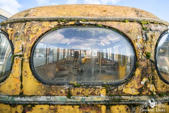 old yellow bus rear oval windows