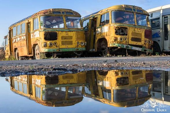 two yellow buses reflected in puddle