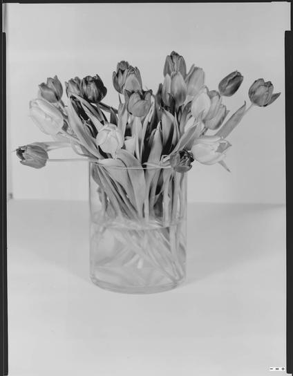 BW photo of tulips in a glass with water.