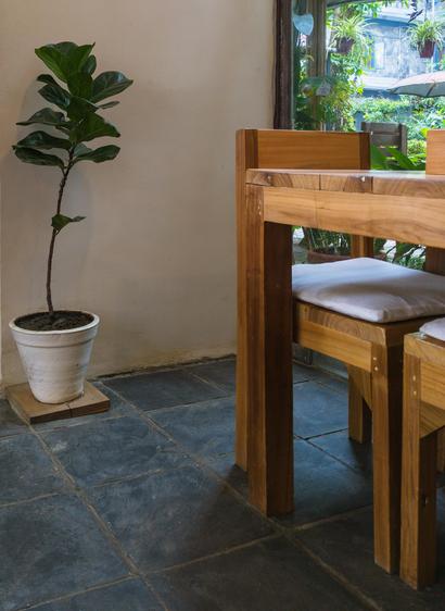 Plant against a concrete wall in the minimalist interior of tiny café with wooden table and chairs in the city of Pokhara, Nepal
Captured by Komeil Karimi