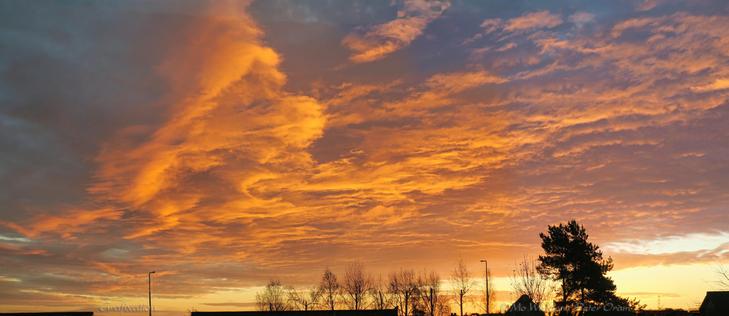 A colour photo of a sky in a palette created by dawn. The foreground at the bottom of the shot is tree tops, unlit streetlights and rooftops. The banks of cloud are rippled and stretched, their undersides painted with yellows, oranges and browns. It's very beautiful.