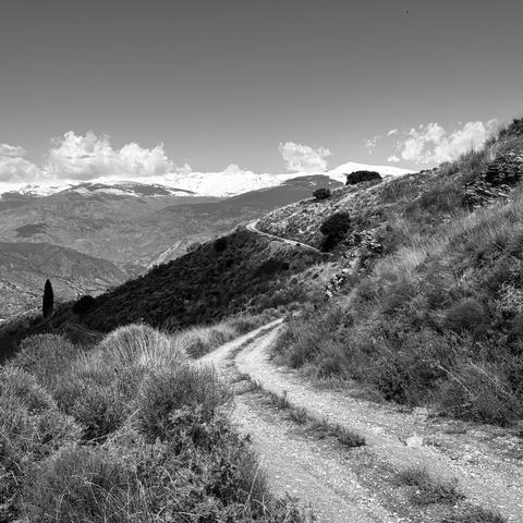 Black and white photo of a dirt track on a hillside with the snow-capped Sierra Nevada mountains in the background. 