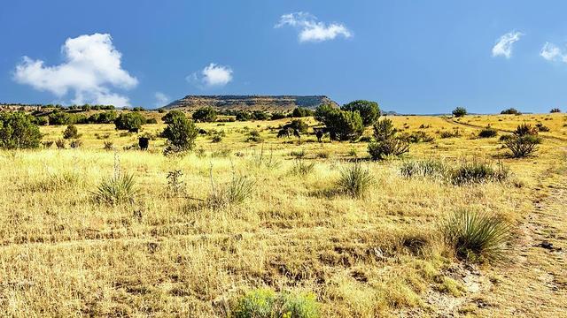 The Santa Fe Trail, heavily used by wagon trains, linked Eastern US and Mexico and cut through this corner of Cimarron County from 1820s to 1860s.
Rugged, remote and lawless, it became a popular hideout for criminals. The Notorious gang of William Coe's headquarters "Robbers Roost" was located near here. April 22, 1899, No Man's Land officially became part of the Oklahoma Territory.
