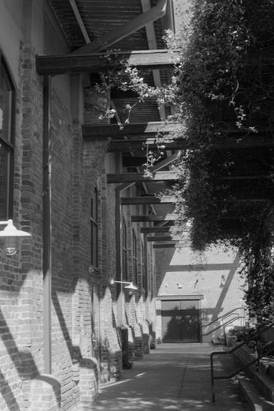 A somewhat covered walkway next to a building and partially shaded by vines