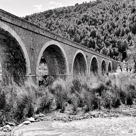 A black and white image captures an arched stone bridge gracefully spanning a river, framed by tall grasses. In the backdrop, a tree-covered hill stands against a partly cloudy sky.