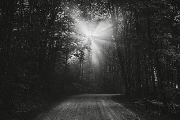 A winding dirt road surrounded by dense trees, with sunlight streaming through the foliage, creating a dramatic, atmospheric scene in black and white.
