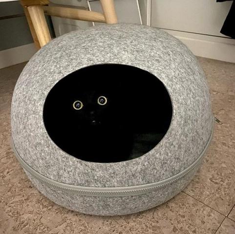A colour photo of a round grey cat bed, the type which completely surrounds the kitty with a hole for them to enter and exit. It's black-lined and inside is a black cat with very wide yellow-green eyes. Only the eyes and a dot of mouth can be seen.