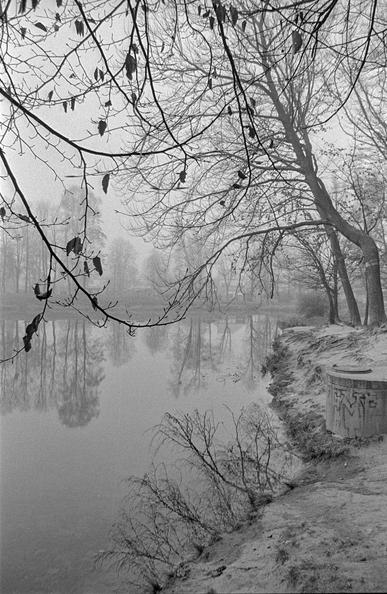 This is a black and white photograph depicting a quiet, foggy lakeside scene. The image is rich in atmosphere and mood, likely taken during late autumn. The foreground shows a dirt path along the edge of the water, with a cylindrical concrete structure on the right side, partially covered in graffiti. 

Bare tree branches hang down from the top and extend into the frame, some still holding on to the last few leaves. The still water reflects the leafless trees on the opposite bank, adding to the tranquil and slightly melancholic feeling of the scene. The fog softens the background, creating a dreamy, almost timeless quality to the photograph.