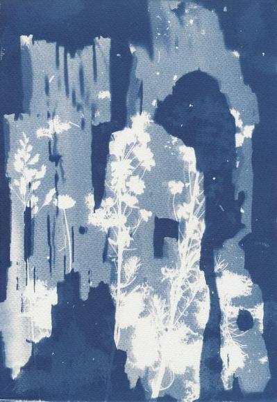 Getting even more fancy: an initial exposure of pieces of bark, and then a second exposure after placing dried flowers on the paper. To me, the bark looks like cliffs.
