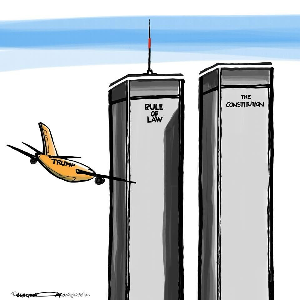 An orange jet called Trump flying into two towers labeled Rule of Law and The Constitution