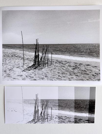 Darkroom B&W print of a group of bamboo canes on a deserted sandy beach. Below the print is a test strip used to determine the correct print exposure.