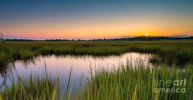 Sunset over the Florida Gulf Coast marshes with vibrant pink, blue, and orange hues reflecting in calm marsh waters under a cloudless sky. From the Fine Art Gallery of Shelia Hunt.