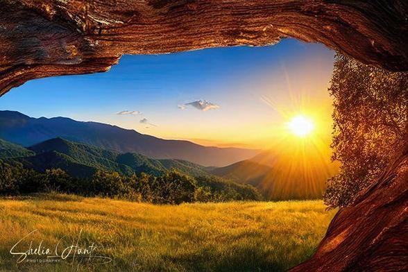 Golden light sunrise over Blue Ridge Mountains and Appalachian landscape with lush meadows, inspired by East Tennessee and NC. From the Fine Art Gallery of Shelia Hunt.